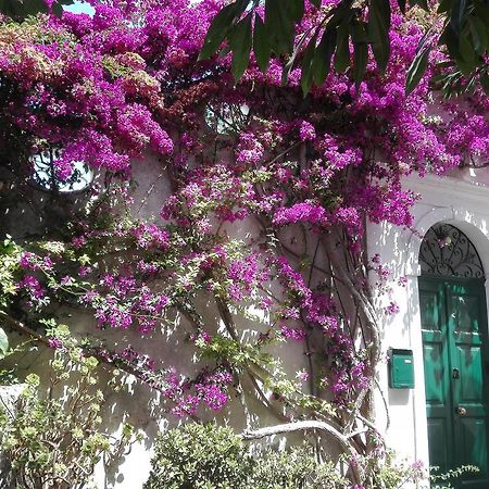 Il Gelso Apartment Anacapri  Bagian luar foto