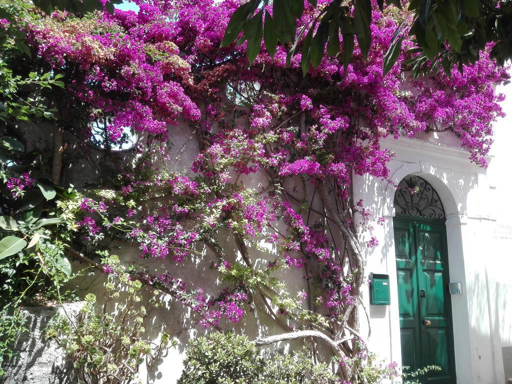 Il Gelso Apartment Anacapri  Bagian luar foto
