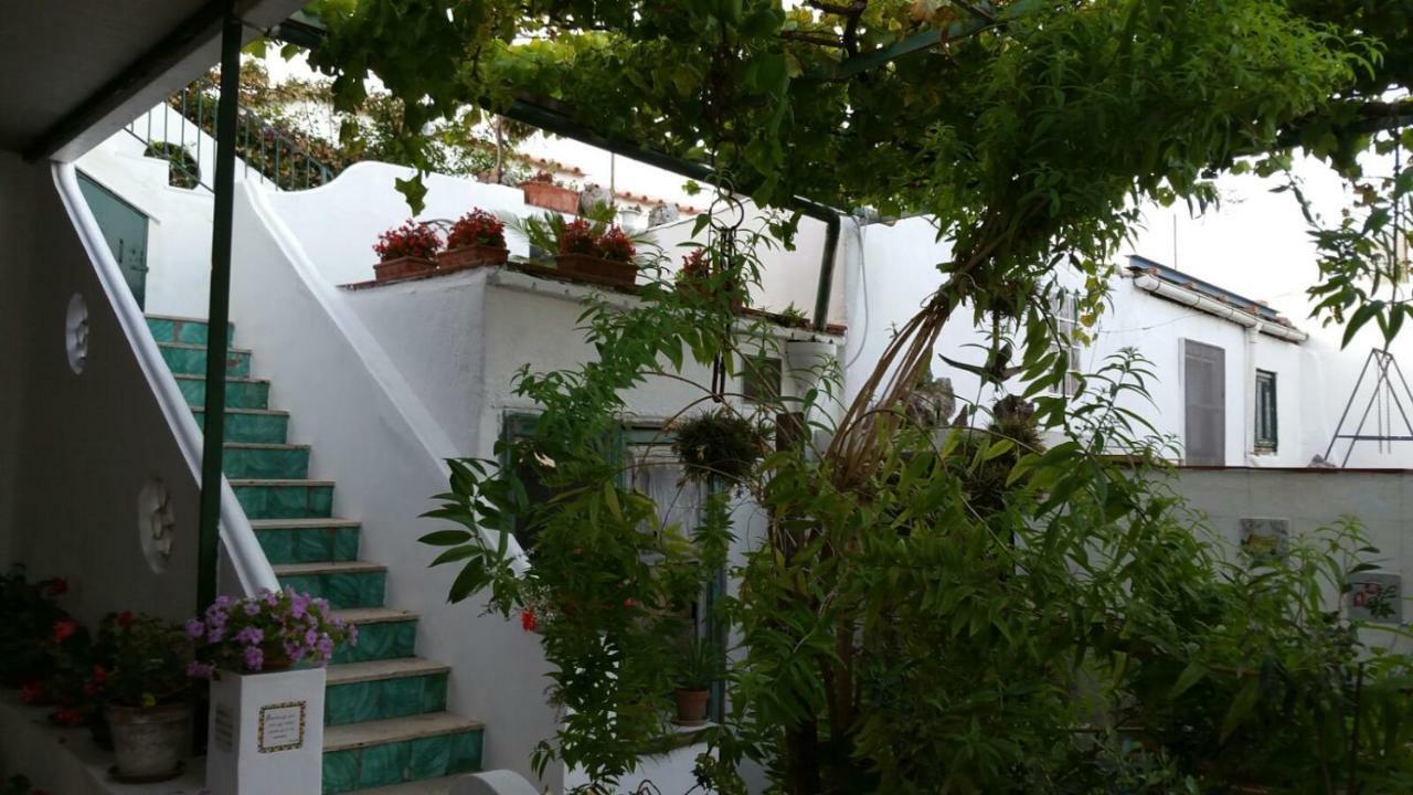 Il Gelso Apartment Anacapri  Bagian luar foto