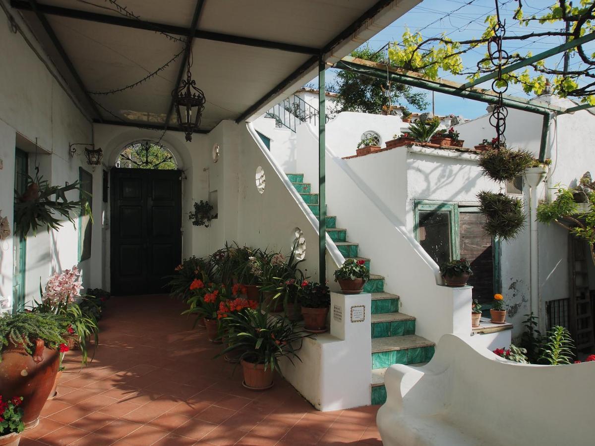 Il Gelso Apartment Anacapri  Bagian luar foto